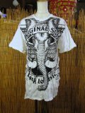 象さんプリント＊皺加工＊コットン素材＊半袖＊Ｔシャツ