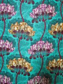 画像: ロータスパーニュUPしました