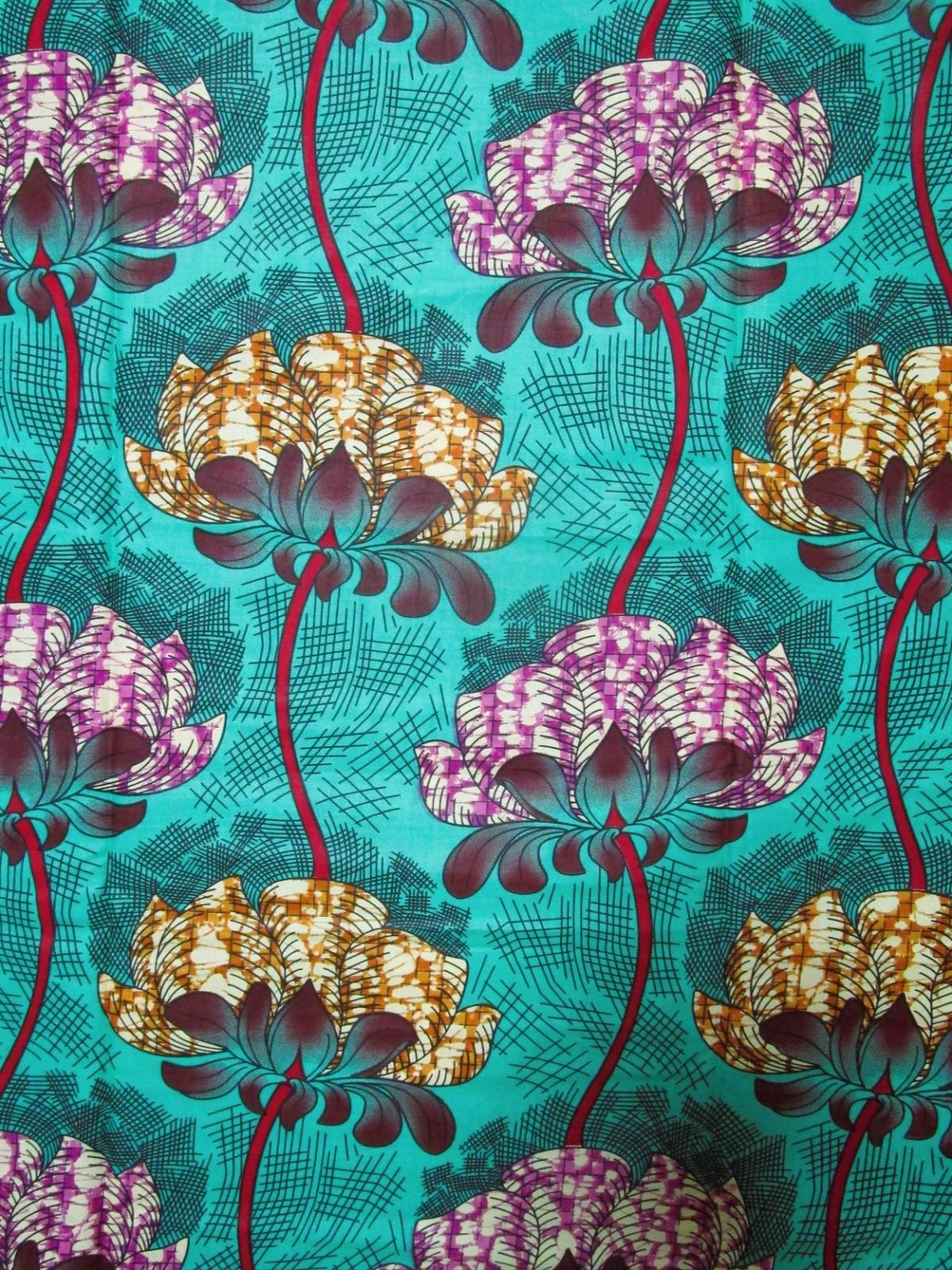 画像: ロータスパーニュUPしました