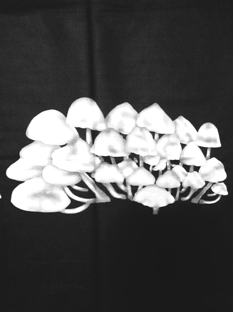 画像: アフリカンプリント生地 パーニュ